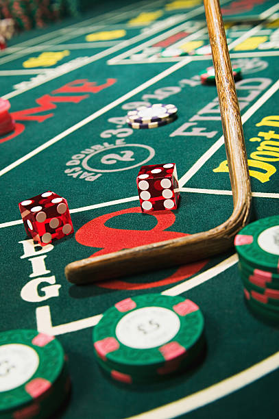 Live dealer multi-camera options